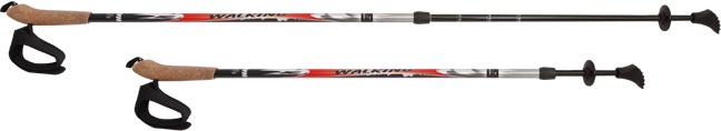 NORDIC WALKING palice - 2 dielne