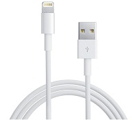 Apple Lightning to USB Cable