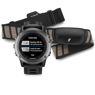 Garmin hodinky fénix® 3, Gray Pe