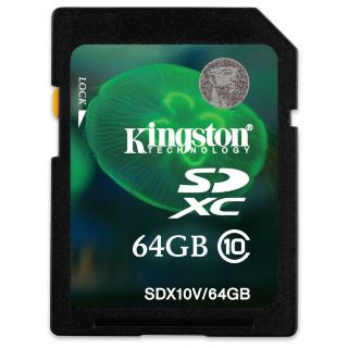 Kingston SDX High Capacity card 