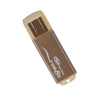 TEAM F108 Fusion 4GB brown USB 2