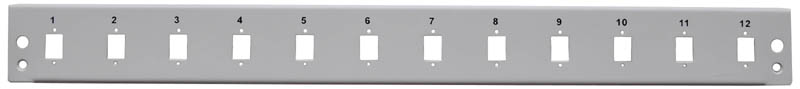 Panel 12xSC pro 19' optická vana