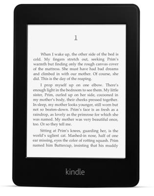 Čítačka kníh Amazon Kindle PAPER